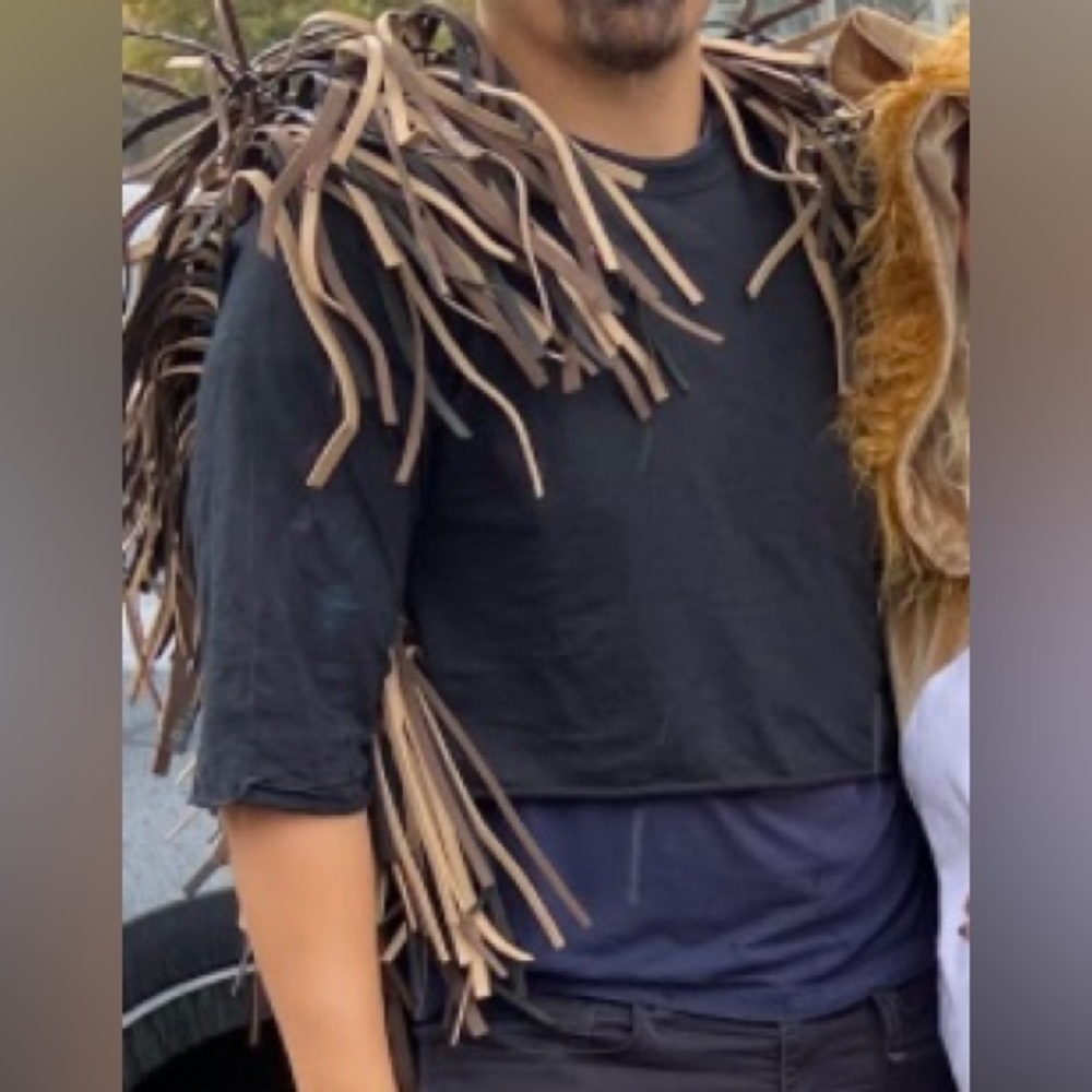 Porcupine or Hedgehog costume